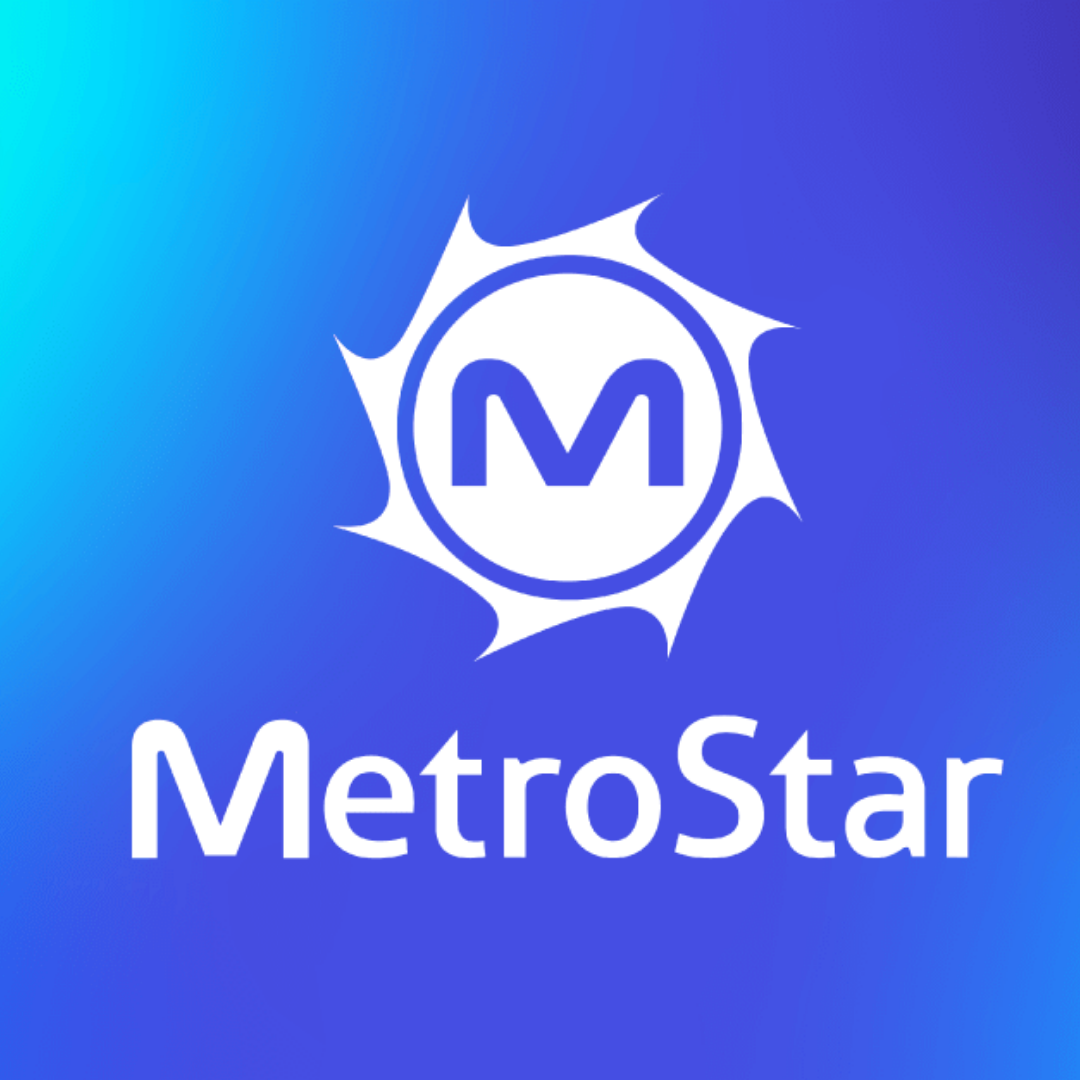 MetroStar Case Study