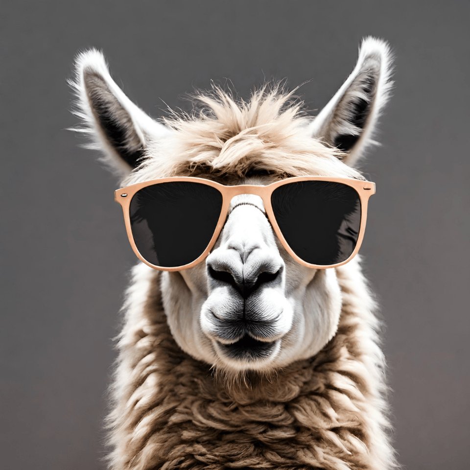 leadership skills to lead like a llama